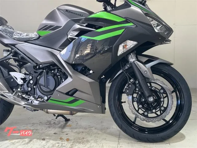 Kawasaki Ninja 400 2026 — миниатюра 5
