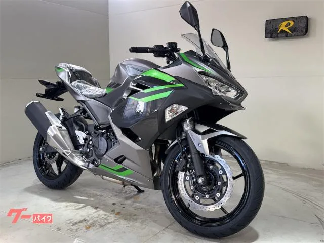 Kawasaki Ninja 400 2026 — фото 1, купить с доставкой в Москву