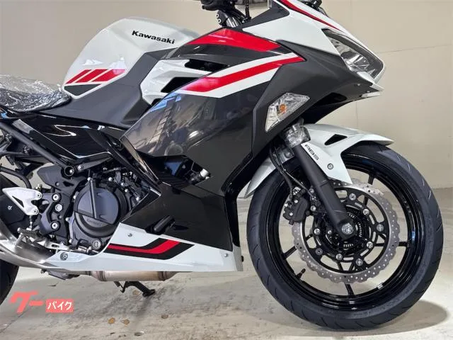 Kawasaki Ninja 400 2026 — миниатюра 5