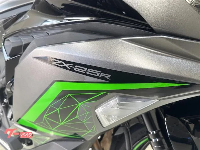 Kawasaki Ninja ZX-25R SE 2023 — миниатюра 2