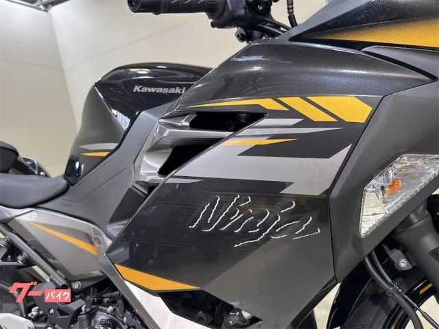Kawasaki Ninja 400 ABS 2022 — миниатюра 2