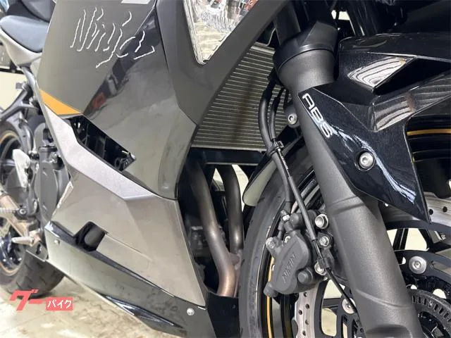 Kawasaki Ninja 400 ABS 2022 — миниатюра 3
