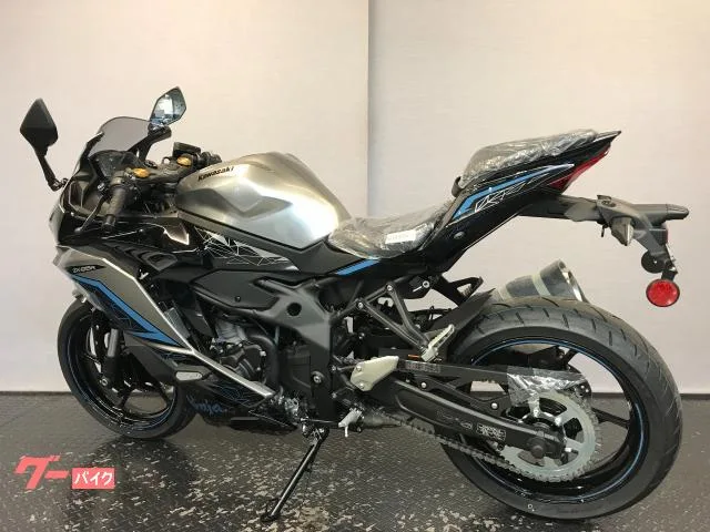 Kawasaki Ninja ZX-25R SE 2024 2024 — миниатюра 2
