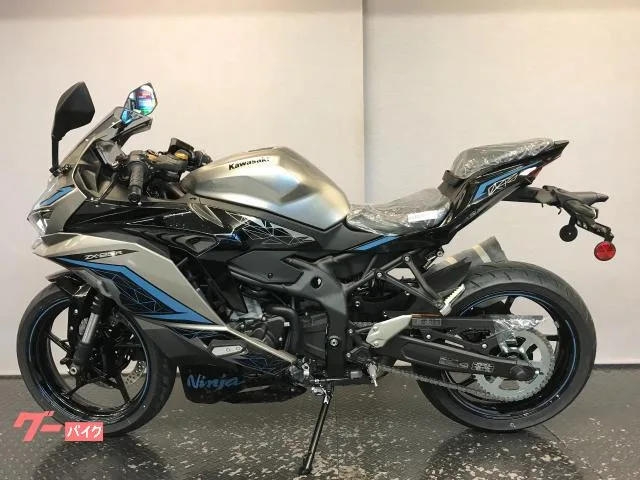 Kawasaki Ninja ZX-25R SE 2024 2024 — миниатюра 4