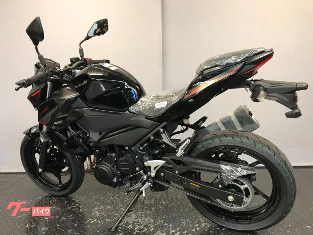 Kawasaki Z400 2024 EX400L 2024 — миниатюра 2