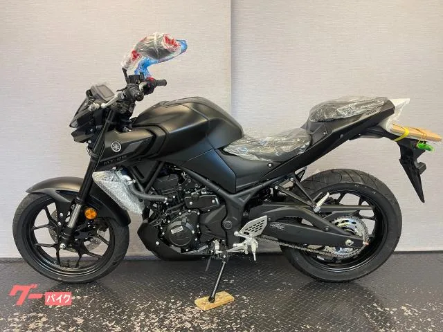Yamaha MT-25 RG74J 8 2022 — миниатюра 4