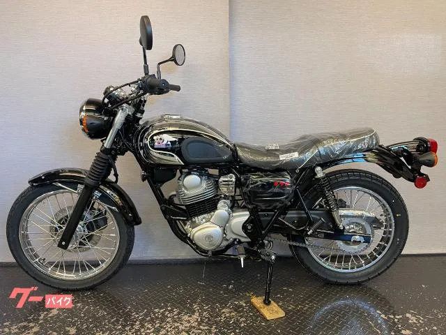 Kawasaki S1 8BK-BJ230A 2026 2025 — миниатюра 3