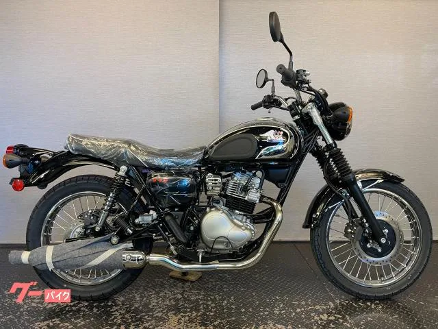 Kawasaki S1 8BK-BJ230A 2026 2025 — миниатюра 5