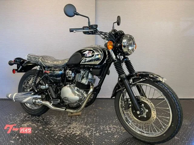 Kawasaki S1 8BK-BJ230A 2026 2025 — фото 1, купить с доставкой в Москву