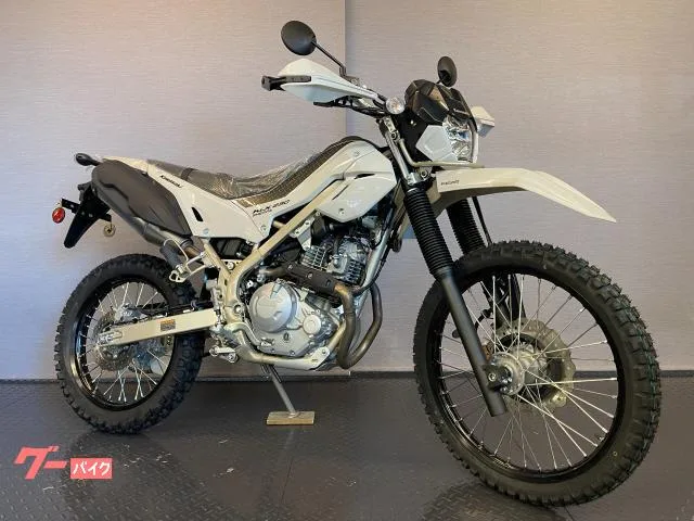 Kawasaki KLX230 8BK-LX232A 2025 2024 — фото 1, купить с доставкой в Москву