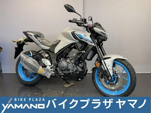 Yamaha MT-25 8BK-RG95J 4 2025 — фото 1, купить с доставкой в Москву