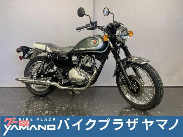 Kawasaki W230 8BK-BJ230A 2026 2026 — фото 1, купить с доставкой в Москву