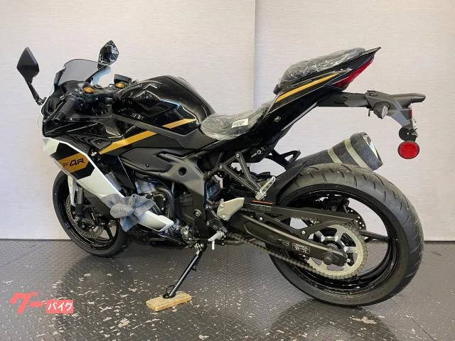 Kawasaki Ninja ZX-4R SE 8BL-ZX400P 2026 — миниатюра 2