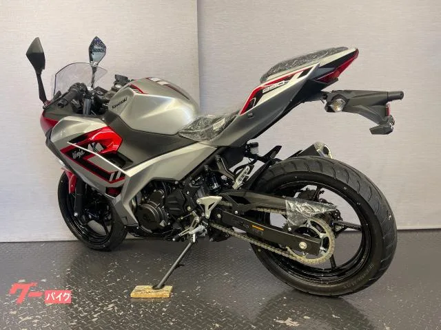 Kawasaki Ninja 250 8BK-EX250Y 2026 — миниатюра 2