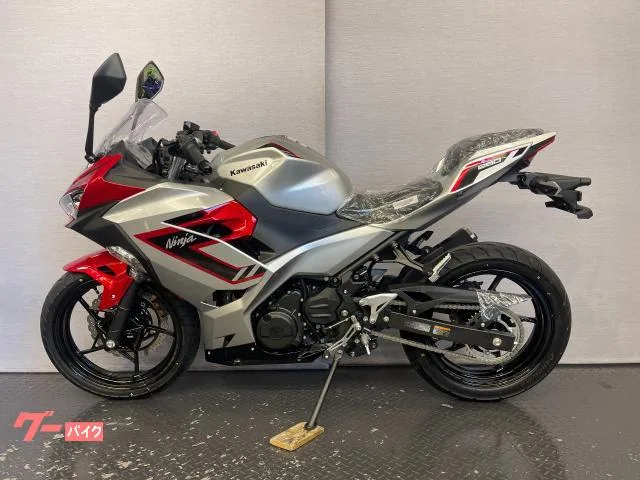 Kawasaki Ninja 250 8BK-EX250Y 2026 — миниатюра 4