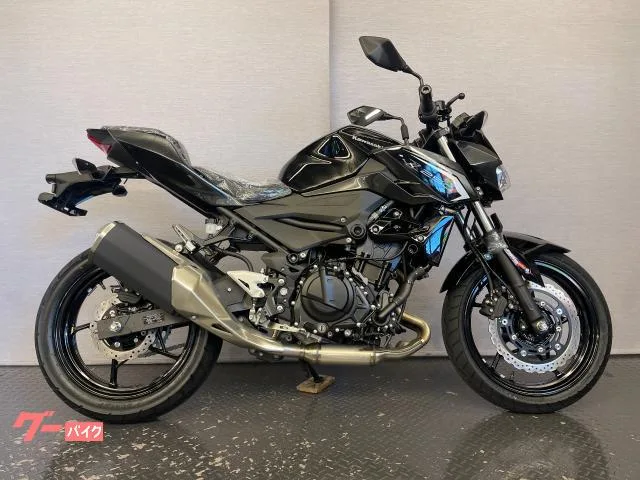 Kawasaki Z250 8BK-EX250Y 2026 2026 — миниатюра 3