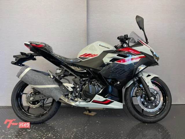 Kawasaki Ninja 4008BL-EX400L 2026 — миниатюра 4