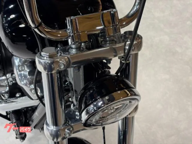 HARLEY-DAVIDSON FXST LED 2024 — миниатюра 3