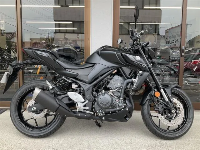 Yamaha MT-03(320cc) 2025 — фото 1, купить с доставкой в Москву