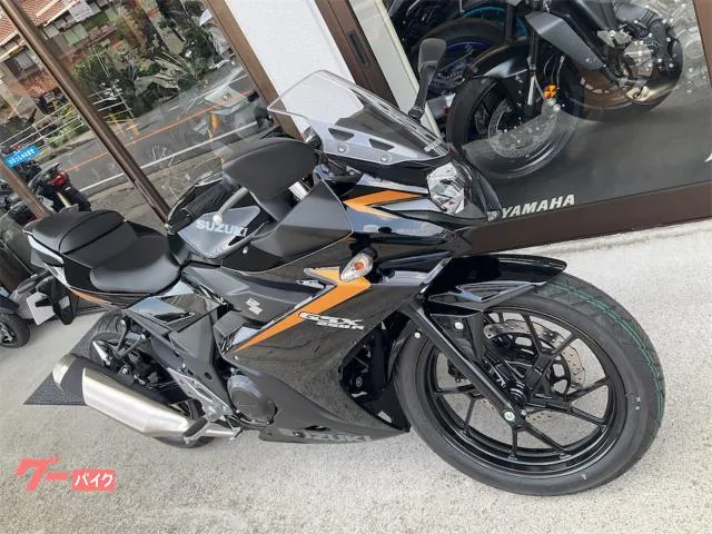 Suzuki GSX250R 2025 — миниатюра 2