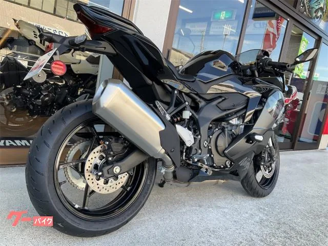 Kawasaki Ninja ZX-4R SE 2026 — миниатюра 5