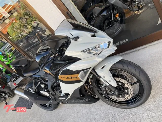 Kawasaki Ninja ZX-4R SE 2026 — миниатюра 2
