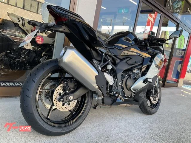 Kawasaki Ninja ZX-4R SE 2026 — миниатюра 5