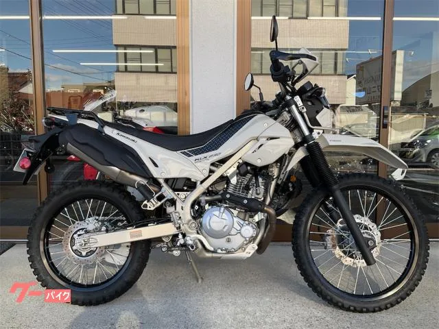 Kawasaki KLX230 2025 — фото 1, купить с доставкой в Москву