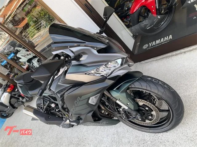 Kawasaki Ninja ZX-4R SE 2025 — миниатюра 2