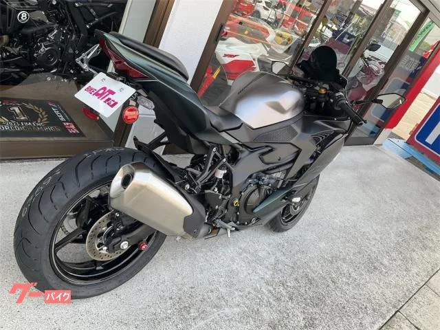 Kawasaki Ninja ZX-4R SE 2025 — миниатюра 4