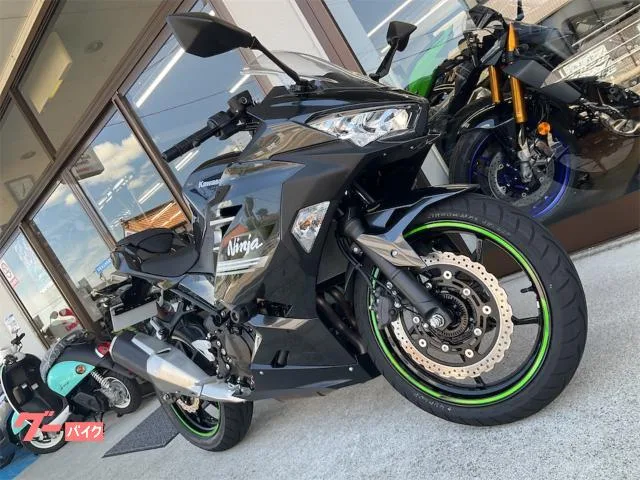 Kawasaki Ninja 250 2022 — миниатюра 3
