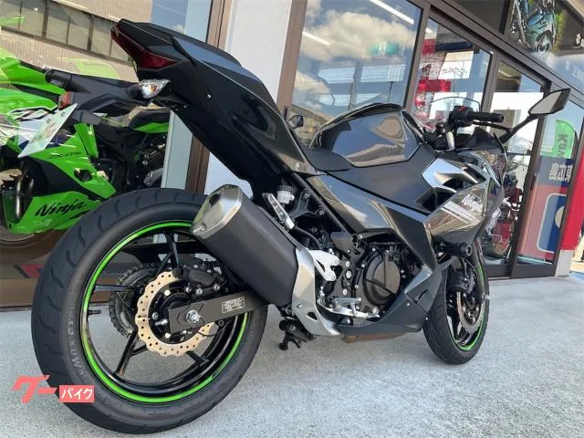 Kawasaki Ninja 250 2022 — миниатюра 5
