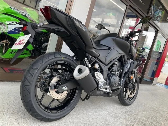 Yamaha MT-25 2025 — миниатюра 2