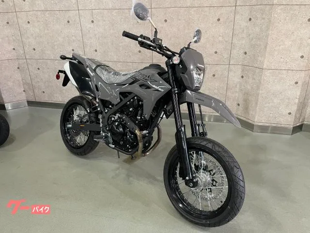 Kawasaki KLX230SM 25 4 LED 2025 — миниатюра 2