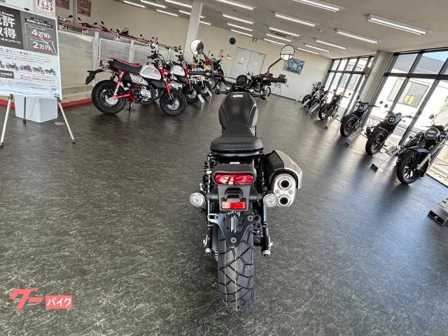 Honda CL250 E-ClutchNew ABS 2025 — миниатюра 4