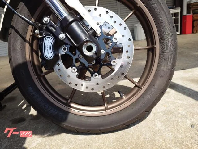 HARLEY-DAVIDSON FXLRS S 2023 — миниатюра 5
