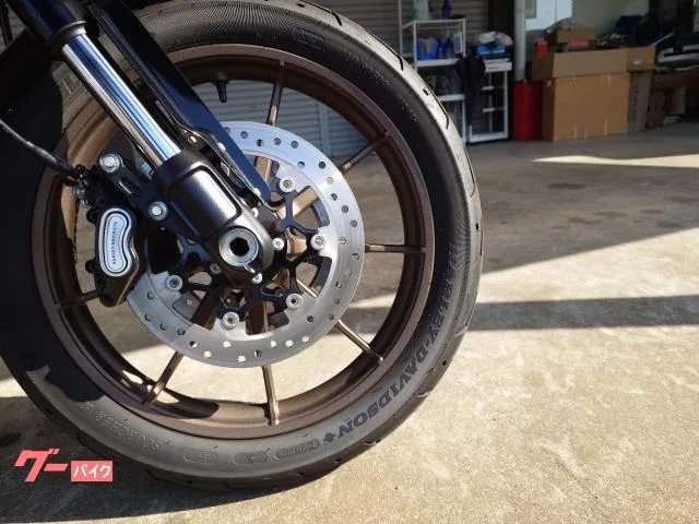 HARLEY-DAVIDSON FXLRS S 2023 — миниатюра 4