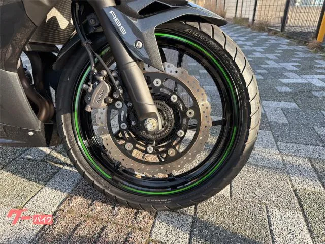 Kawasaki Ninja 250 2023 2023 — миниатюра 2