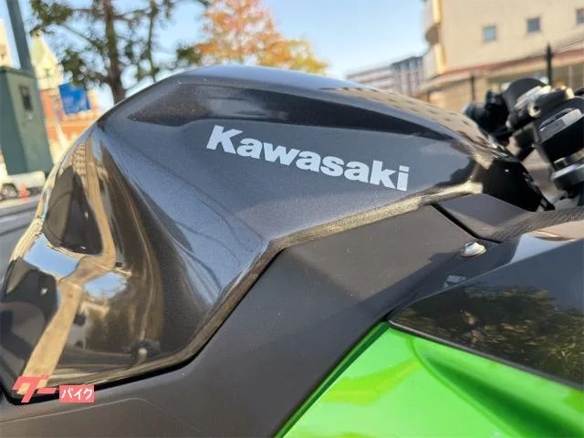 Kawasaki Ninja 250 2023 2023 — миниатюра 3