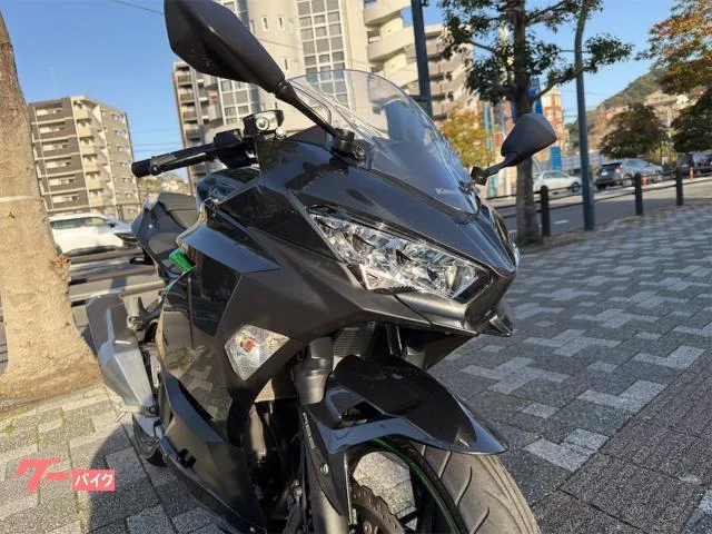 Kawasaki Ninja 250 2023 2023 — миниатюра 4