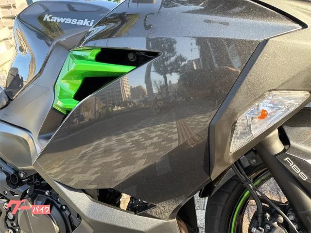 Kawasaki Ninja 250 2023 2023 — миниатюра 5