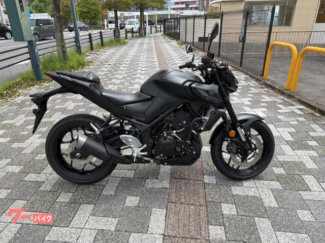 Yamaha MT-25 2022 — фото 1, купить с доставкой в Москву