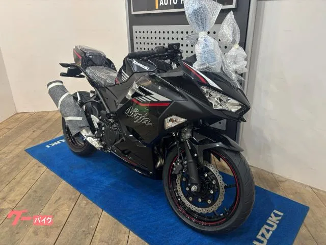 Kawasaki Ninja 400 2025 — миниатюра 2