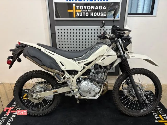 Kawasaki KLX230 2025 — фото 1, купить с доставкой в Москву