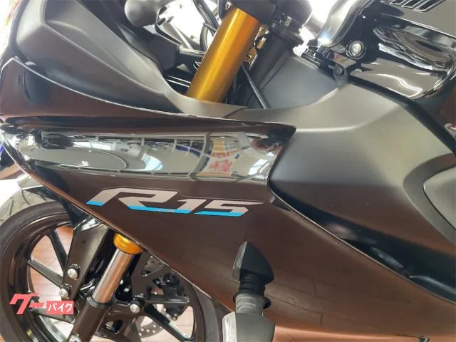 Yamaha YZF-R15 2024 2024 — миниатюра 3