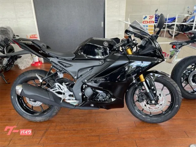 Yamaha YZF-R15 2024 2024 — фото 1, купить с доставкой в Москву