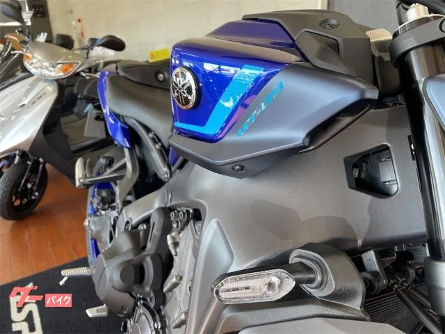 Yamaha MT-09 Y-AMT C 2024 — миниатюра 5