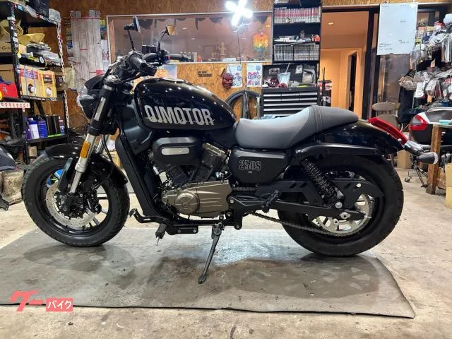QJMOTOR SRV 250 2025 — миниатюра 4