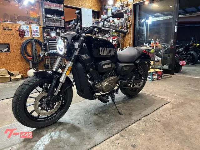 QJMOTOR SRV 250 2025 — миниатюра 5