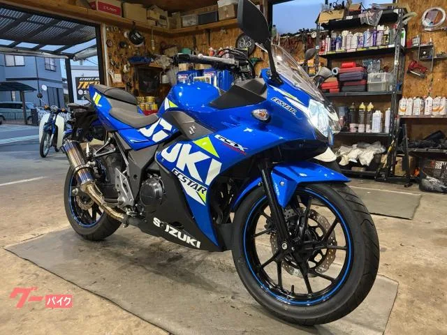 Suzuki GSX250R USB2 2022 — миниатюра 2